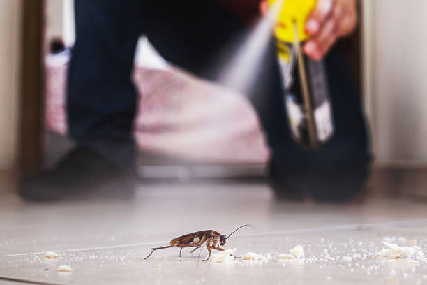 Flea Control Services in Cabin John, MD